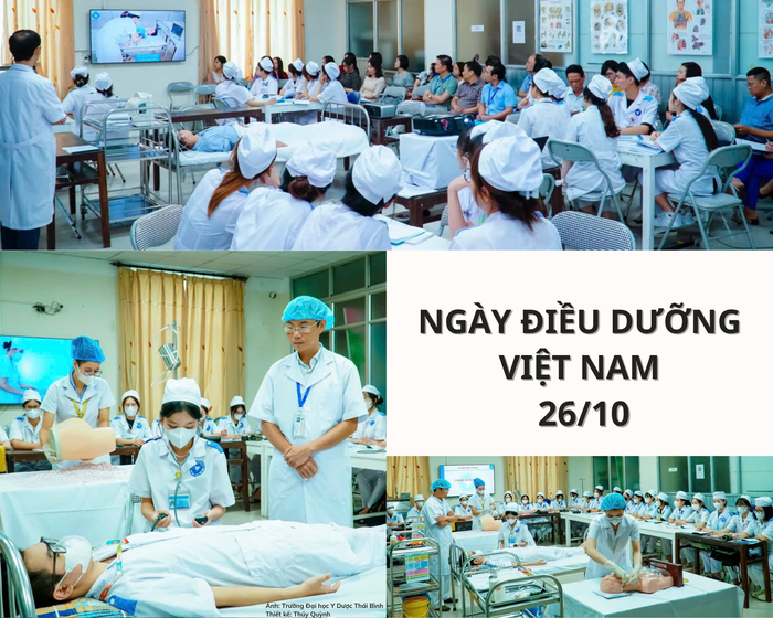 điều dưỡng việt nam (2).png