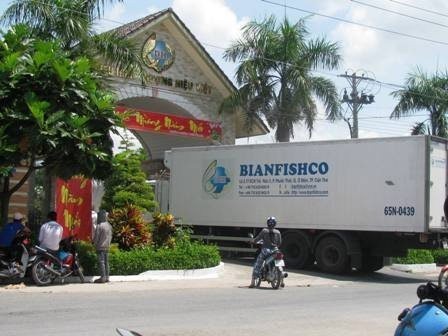 Trong ngày 9/3, xe tải vẫn ra vào công ty Bình An nhưng các công nhân tại đây nghi vấn là để “tẩu tán tài sản” đi chứ không phải chở cá hay thành phẩm kinh doanh