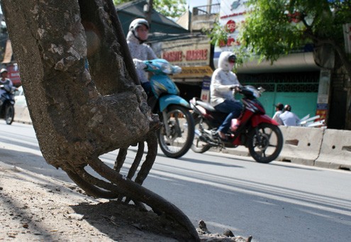 Chân cột cũng trơ ra những thanh thép.