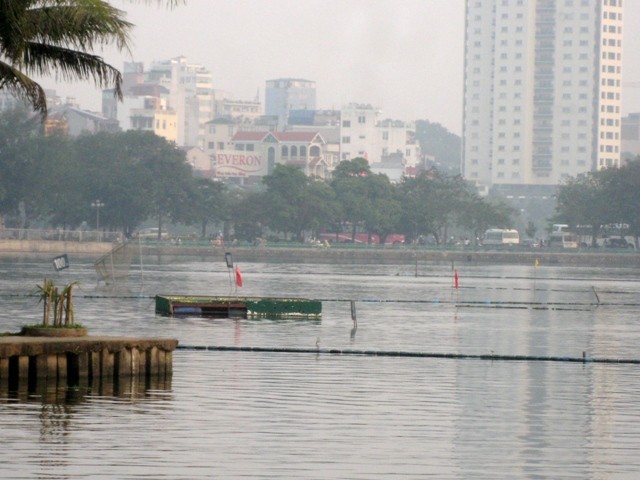 Phần lớn thuyền nổi, nhà nổi trên mặt hồ Tây (Hà Nội) đều bị phát hiện sai phạm như lấn chiếm diện tích mặt hồ, sử dụng sàn nổi không giấy phép. Các thuyền không có hệ thống xử lý nước thải mà xả trực tiếp xuống hồ. Ngoài ra, thuyền thiên nga, thuyền vịt, thuyền chèo tay được thả trên mặt hồ Tây với mật độ dày đặc. Ảnh: Một góc hồ Tây phía giáp với đường Yên Phụ trở nên lộn xộn với chi chít cọc và thùng phi nổi.