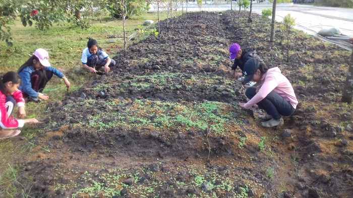 Học sinh đang lao động công ích (Ảnh tác giả)