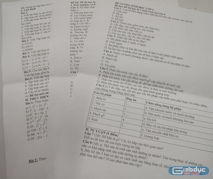 Đề cương các môn học của học sinh lớp 6 (Ảnh tác giả)