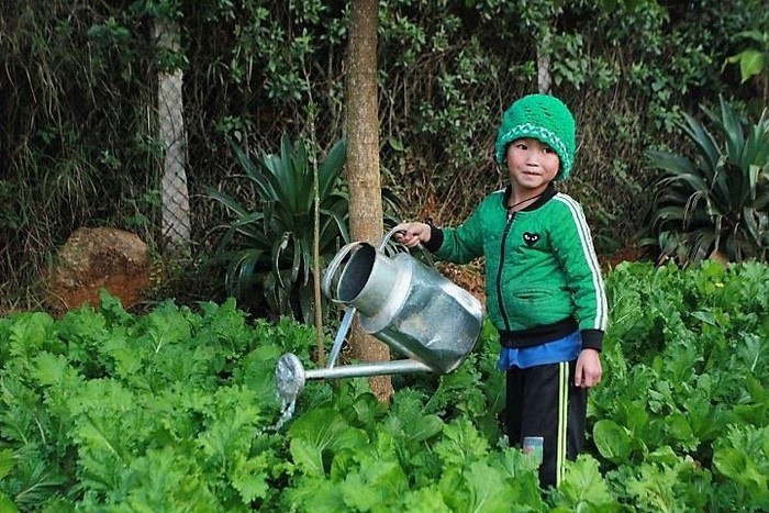 Học sinh cũng được dạy trồng rau, chăm con lợn, con gà để có thêm nguồn thực phẩm (Ảnh:V.N)