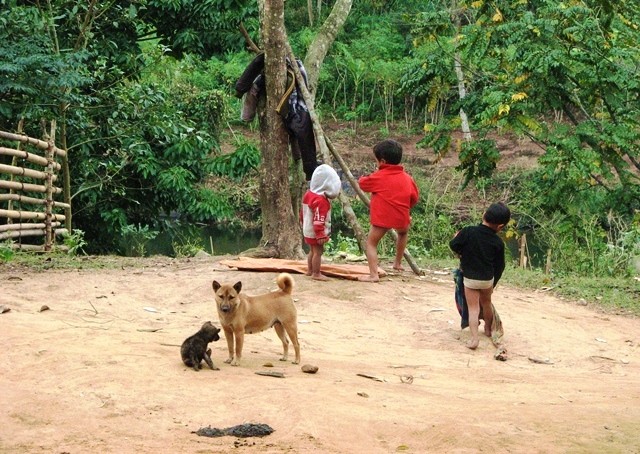 Cùng nhau chơi đùa (Ảnh: Thủy Phan)