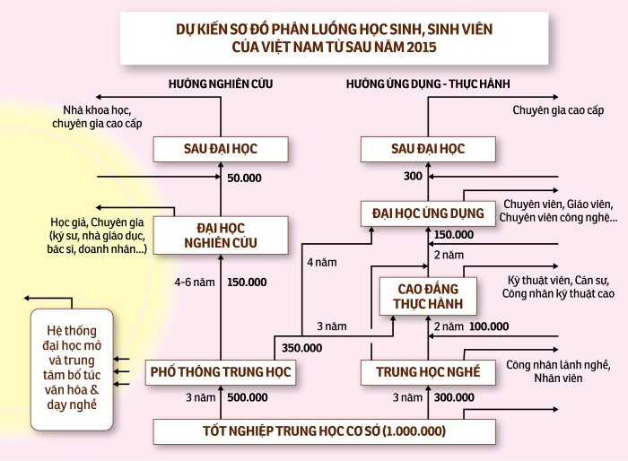 Sơ đồ hệ thống giáo dục quốc gia do Hội Khuyến học Việt Nam, Hiệp hội Các trường Đại học, Cao đẳng Việt Nam cùng Hiệp hội Vì giáo dục cho mọi người kiến nghị (Ảnh: tuoitre.vn)