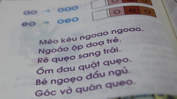 Ý nghĩa của nhiều từ ngữ trong sách không phù hợp với lứa tuổi Tiểu học (Ảnh: T.L)