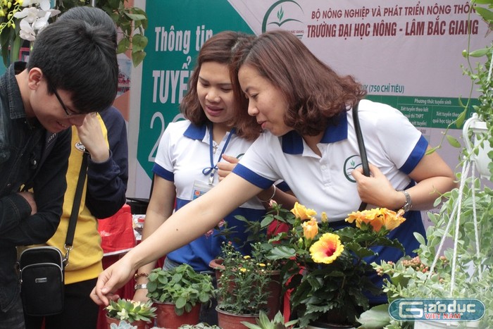 Bộ Giáo dục yêu cầu xây dựng các chuyên đề khởi nghiệp đưa vào chương trình đào tạo theo hướng bắt buộc hoặc tự chọn phù hợp với thực tiễn của nhà trường. (Ảnh minh họa: Linh Anh)