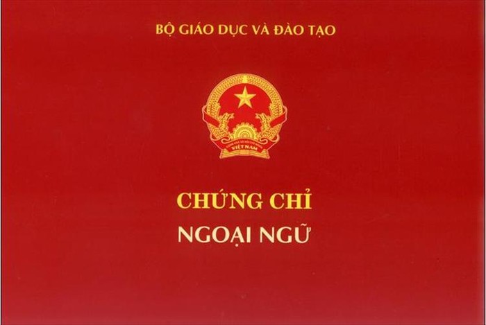 Dự kiến, trình độ C2 theo Quyết định số 66/2008/QĐ-BGDĐT tương đương bậc 6 của khung 6 bậc.(Ảnh minh họa trên giaoduc.net.vn)