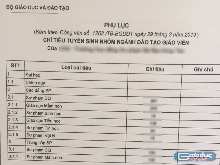 Năm 2019 Bộ Giáo dục và Đào tạo giao chỉ tiêu cụ thể từng ngành cho các trường cao đẳng sư phạm (ảnh: tư liệu)