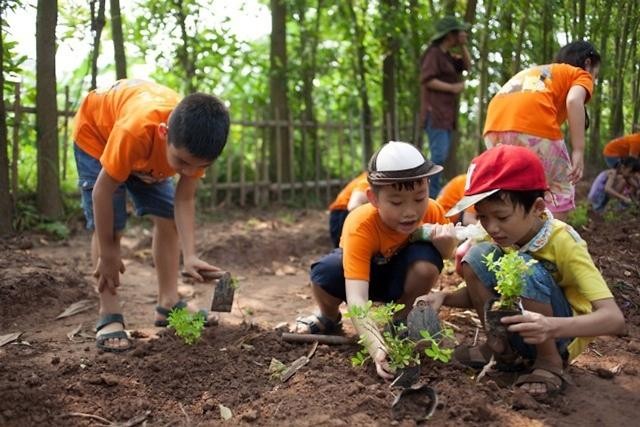 Ảnh minh họa: nguồn Vietnamnet