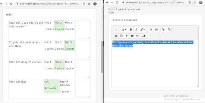 Giao diện thực hiện đánh giá và phản hồi trực tiếp trên hệ thống NTU elearning có sử dụng rubric