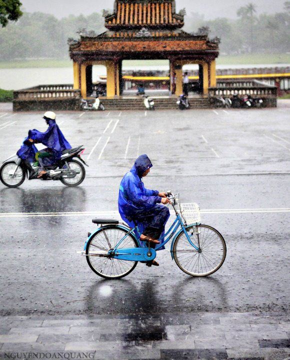 Ngược dòng...trên phố xưa