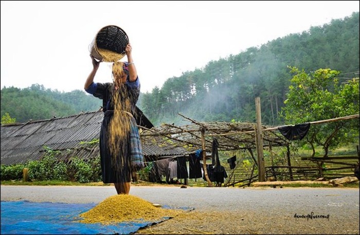 Mùa về trên tay mẹ...