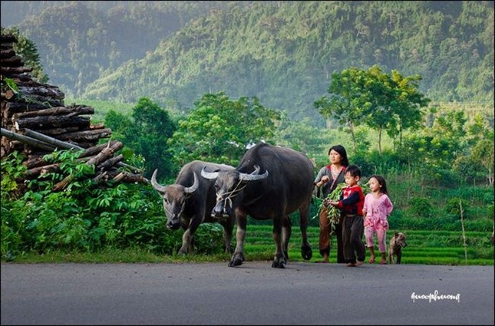 Những đứa trẻ vùng cao...