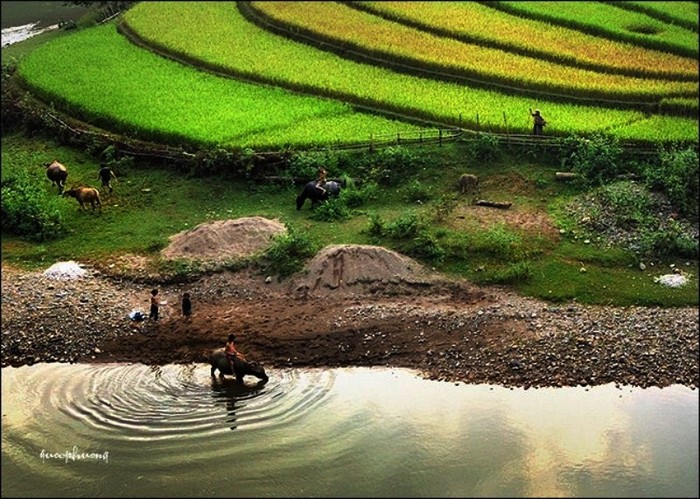 Đến với Tây Bắc, du khách có thế đứng dưới chân núi, thậm chí đứng trên đỉnh núi để ngắm cảnh tuyệt đẹp và thơ mộng của những thửa ruộng bậc thang độc đáo này.