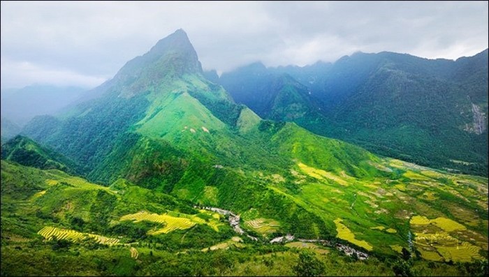 Mấp mô trong sương sớm...