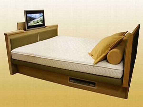 Gustarle TV-Bed Giá: 13.577 USD Chiếc giường này được trang bị một tivi Samsung LCD màn hình phẳng, một đầu đĩa DVD và tấm đệm mút đàn hồi dẻo (một loại đệm có tính chất nhớ hình). Ngoài ra, chất liệu gỗ và màu sắc của chiếc giường có thể thay đổi được tùy theo sở thích của khách hàng.