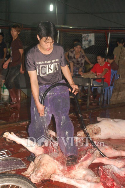 Lò giết mổ lợn rất mất vệ sinh giữa thủ đô Hà Nội. (Ảnh: Dân Việt)