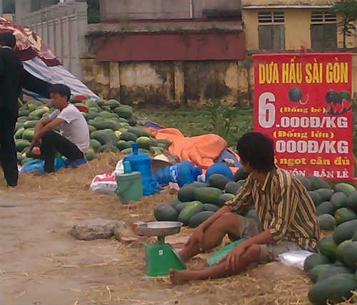 Dưa Sài Gòn bầy la liệt khắp đường phố Hà Nội