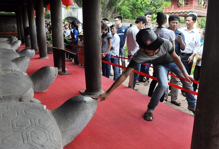 Nhanh tay vào sờ đầu rùa