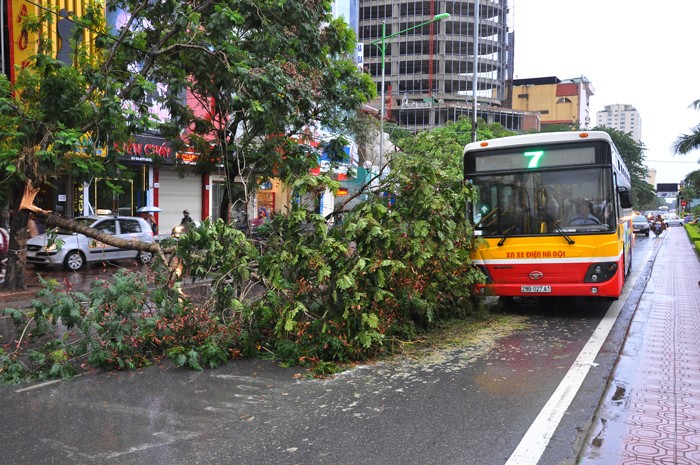 Các phương tiện lưu thông qua đây gặp nhiều khó khăn