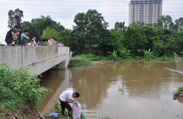 Hoạt động đánh bắt cá thu hút được sự quan tâm của nhiều người