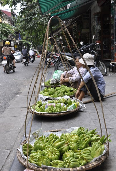 Góc phố, vỉa hè, tán cây râm… được chọn là nơi dừng chân nghỉ ngơi của những gánh hàng rong.