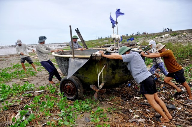 Những chiếc mủng được đưa vào nơi an toàn để trú bão cũng được ngư dân đưa ra ngay sau khi cơn bão đi qua.