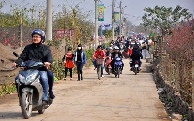 Khắp các ngõ nhỏ quanh khu vực làng đào Nhật Tân đông kín khách mua đào, thăm quan đến đây trong dịp giáp Tết này.