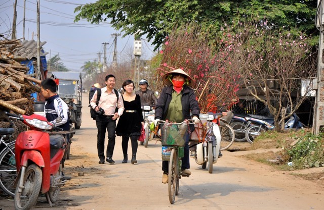 Những người buôn đào từ nhiều tỉnh khác cũng đổ về đây để mua đào mang xuống phố buôn.