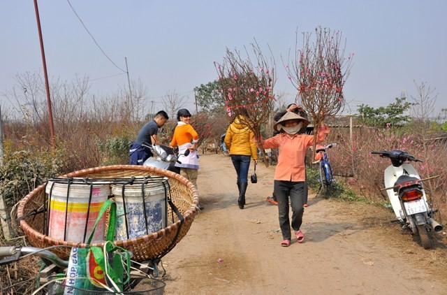 Chị Trần Thị Oanh (Việt Yên, Bắc Giang) đã hơn 3 năm buôn đào dịp Tết ở Hà Nội chia sẻ: “Tôi cùng mấy chị em trong làng, cứ đến cuối năm là lại về vườn đào này mua cành đi xuống phố bán. Mỗi cành đào chúng tôi bán ra cũng lãi được 20. 000 - 30.000 đồng”.