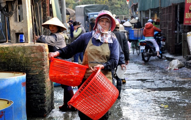 Từ tiểu thương cho tới chủ các quầy cá đều hối hả mua bán.