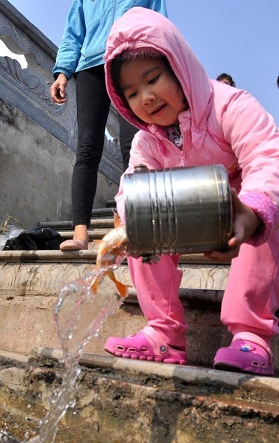 Phóng sinh cá chép ngày Tết ông Công, ông Táo không chỉ là một nét đẹp văn hóa mà nó còn thể hiện sự từ bi quý báu của người Việt Nam.