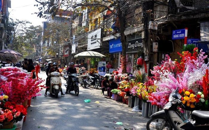 Chợ hoa không chỉ ở riêng phố Hàng Lược mà kéo dài từ Hàng Chai tới cả Hàng Mã, Hàng Đồng, Hàng Rươi chỗ nào cũng ngập tràn đồ cổ và cây cảnh.