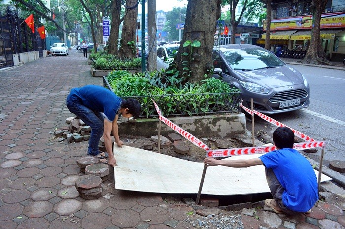 Các công nhân dự án thoát nước Hà Nội đang dùng những miếng gỗ để che lại miệng hố bị trộm lấy mất sắt.