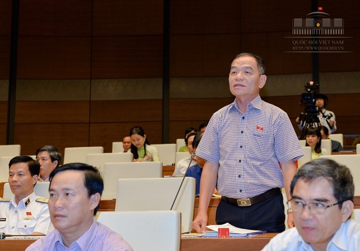 Đại biểu Quốc hội Lê Thanh Vân, đoàn Cà Mau (ảnh nguồn quochoi.vn).