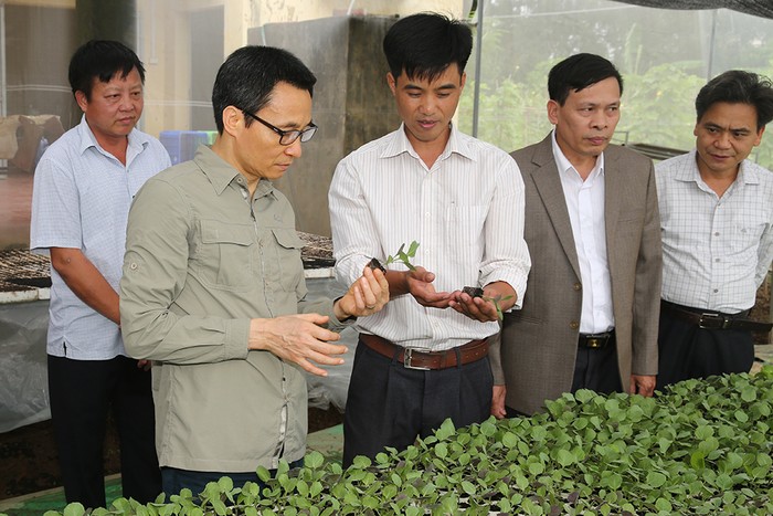 Phó Thủ tướng thăm mô hình sản xuất rau an toàn tại Hợp tác xã Yên Phú. Ảnh: VGP/Đình Nam