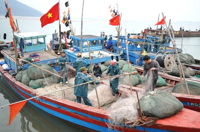 Ảnh minh họa (nguồn chinhphu.vn).