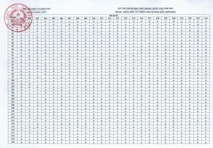 Đáp án môn sinh học kỳ thi trung học phổ thông quốc gia năm 2019 (ảnh Trinh Phúc).