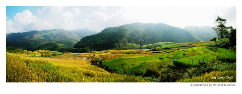 Ruộng bậc thang Mù Cang Chải