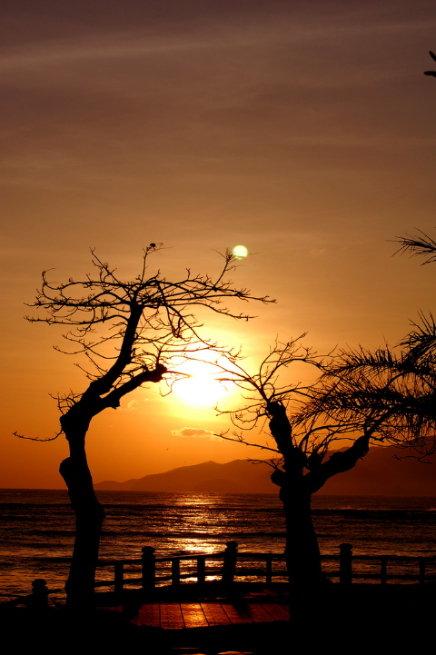 Bình minh Nha Trang.