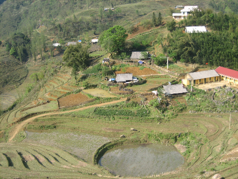 Ruộng bậc thang.