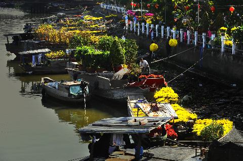 Bến xuân Ninh Kiều (Cần Thơ).