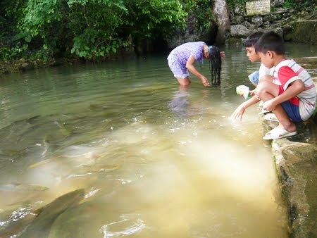 Cá Dốc ở suối Mó Đóng nhiều như vậy nhưng không ai dám đánh bắt để ăn. Cùng lắm họ cũng chỉ lấy nước dùng cho sinh hoạt gia đình. Theo người dân nơi đây cho biết là nếu bắt cá ở suối "cá thần" là "có tội" nên ai đó “gan” to đến đâu cũng không dám "mạo phạm”.