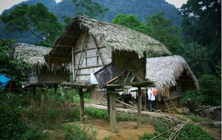 Những con “ ma cà rồng” thường đi hút máu người vào ban đêm. Chúng ăn hang ở lỗ, tối vào làng hút máu người và ăn trộm gà qué.