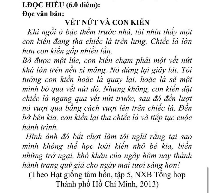 Phần đọc - hiểu trong một đề kiểm tra cho học sinh lớp 10 tại Trường Cao đẳng Xây dựng Công trình đô thị sử dụng ngữ liệu từ cuốn sách “Hạt giống tâm hồn”. (Nguồn: NVCC)