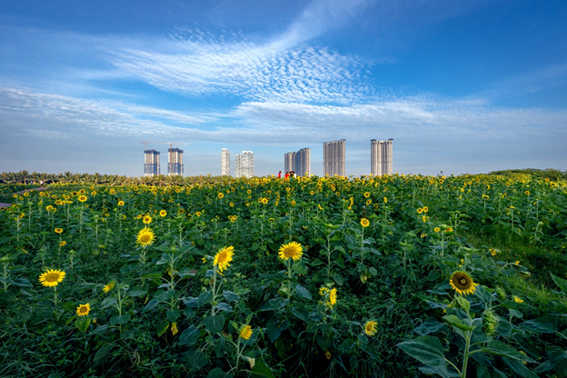 Màu xanh đặc trưng tại khu đô thị Ecopark