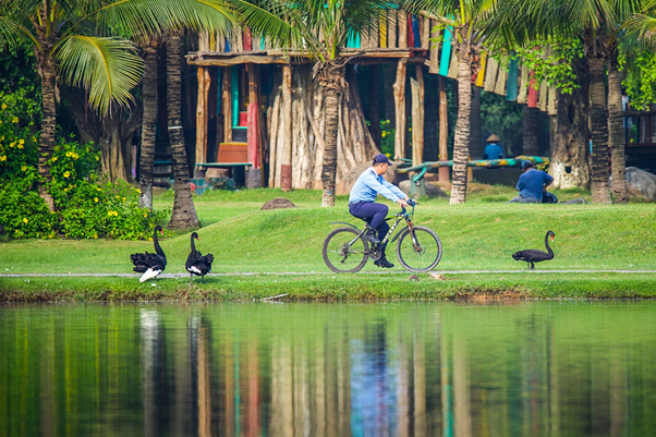 Khung cảnh bình yên tại Ecopark