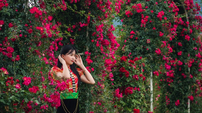 Mùa hè, muôn hoa bung nở rực rỡ tại Sun World Fansipan Legend