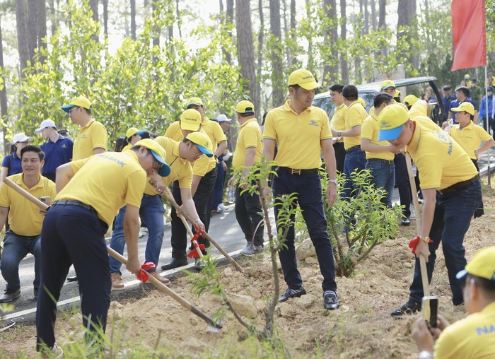 Đông đảo cán bộ nhân viên Nam A Bank ra quân trồng cây Mai anh đào tại Đền Hùng